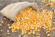 Picture for category Popcorn Kernels